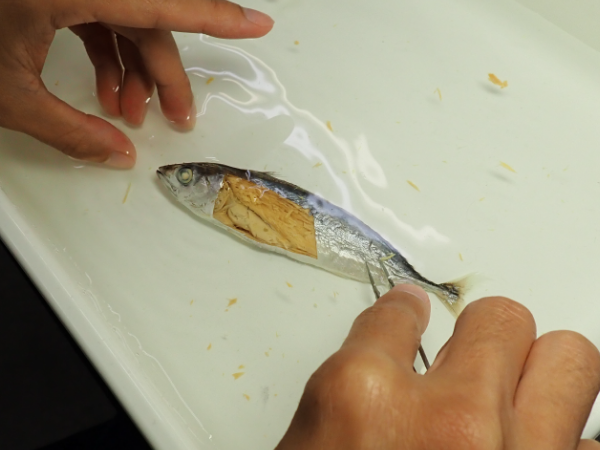 その他調査・分析の写真